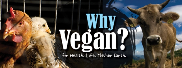Vegan_Wordpress_Cover